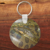 Porte-clés Anaconda vert (Recto)