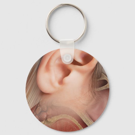 Porte-clés Anatomie des oreilles (Recto)