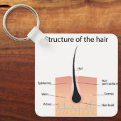 Porte-clés anatomie des os des pieds (Recto)