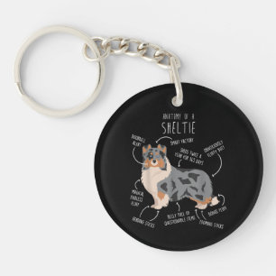 Porte-clés Anatomie du Berger des Shetland Blue Merle Sheltie