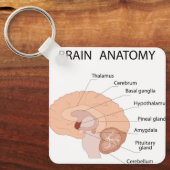 Porte-clés Anatomie du cerveau (Recto)
