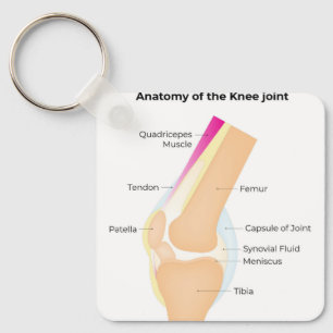 Porte-clés Anatomie du genou