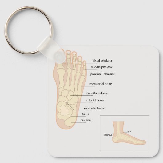 Porte-clés Anatomie du pied humain (Recto)