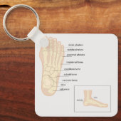Porte-clés Anatomie du pied humain (Recto)