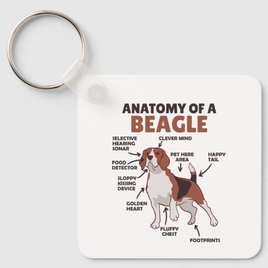 Porte-clés Anatomie D'Un Chien Beagle Mignonne Chien Drôle Be (Recto)