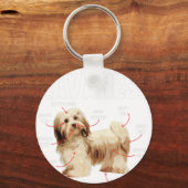 Porte-clés Anatomie D'Un Havanais - Havaneser Cubain Havanese (Recto)