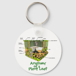 Porte-clés Anatomie d'un porte - clé de feuille de plante