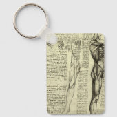 Porte-clés Anatomie humaine de Léonard de Vinci : muscles de  (Recto)