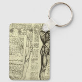 Porte-clés Anatomie humaine de Léonard de Vinci : muscles de  (Verso)