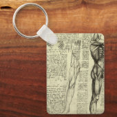 Porte-clés Anatomie humaine de Léonard de Vinci : muscles de  (Recto)