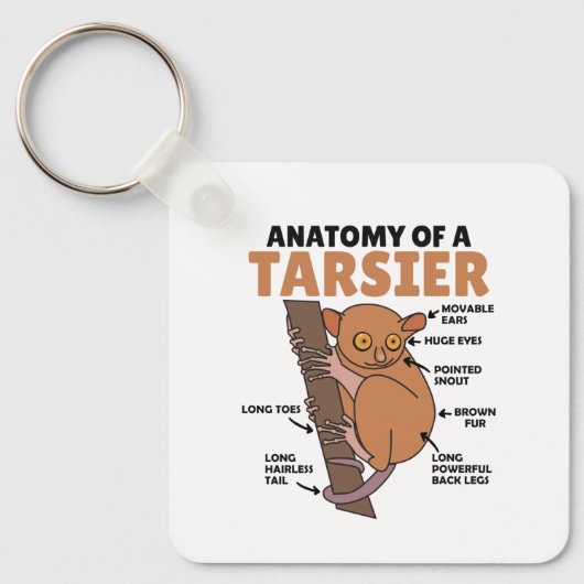 Porte-clés Anatomie Tarsier Mignonne D'Un Tarsier Explication (Recto)