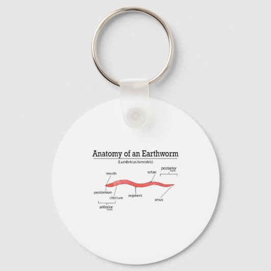 Porte-clés Anatomy Of An Earthworm Funny Worm Earthworm Lover (Recto)