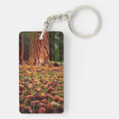 Porte-clés Ancien arbre de Ponderosa aux cônes de pins (Dos)