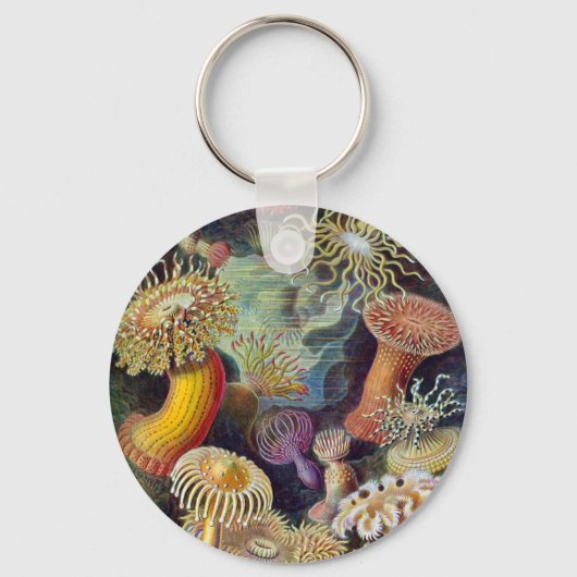 Porte-clés Anémones de mer (Recto)