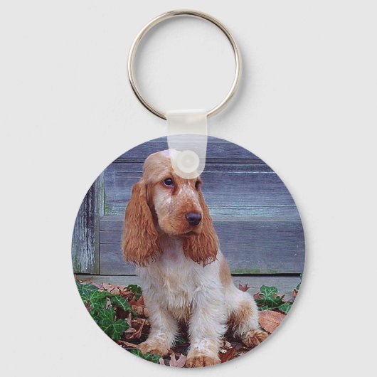 Porte-clés Anglais Cocker Spaniels (Recto)
