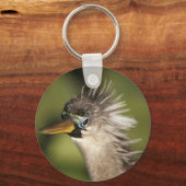 Porte-clés Anhinga (Recto)