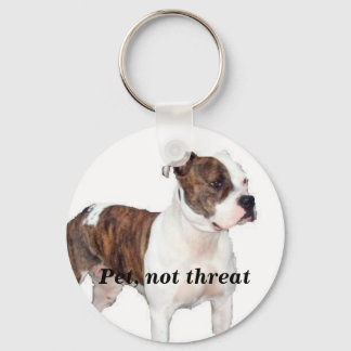 Porte-clés Animal de compagnie, pas porte - clé de menace