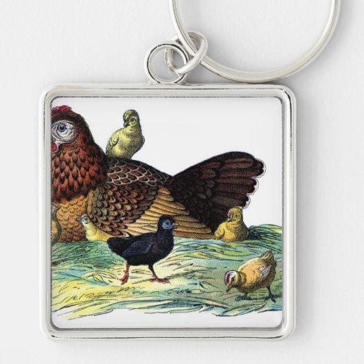 Porte-clés Animal de cru de poulets (Devant)