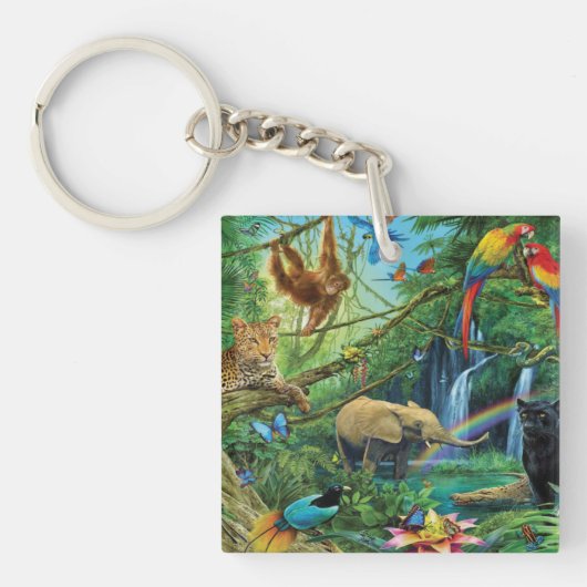 Porte-clés Animals living together throw pillow (Devant)