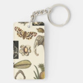 Porte-clés Animaux agressés peints sur Arrière - plan de crèm (Dos)