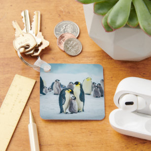 Porte-clés Animaux de bébés cutest Alimentation de pingouin