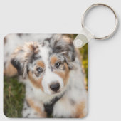 Porte-clés Animaux de bébés cutest | Australian Shepherd Pupp (Dos)