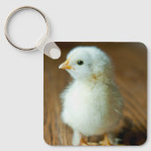 Porte-clés Animaux de bébés cutest | Baby Chick (Recto)