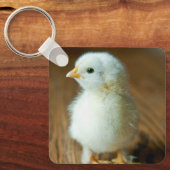 Porte-clés Animaux de bébés cutest | Baby Chick (Recto)