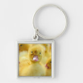 Porte-clés Animaux de bébés cutest | Baby Duck Group (Devant)
