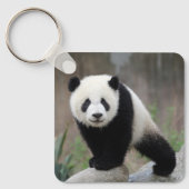 Porte-clés Animaux de bébés cutest | Baby Panda géant (Recto)