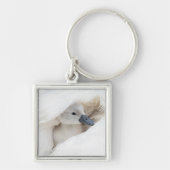 Porte-clés Animaux de bébés cutest | Bébé Mute Swan (Devant)