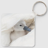 Porte-clés Animaux de bébés cutest | Bébé Mute Swan (Dos)