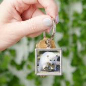 Porte-clés Animaux de bébés cutest | Bébé Ours Polaire Cub (main)