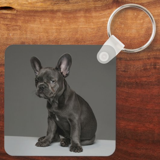 Porte-clés Animaux de bébés cutest | Blue French Bulldog Pupp (Verso)