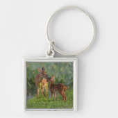 Porte-clés Animaux de bébés cutest | Cerf et bébé (Devant)