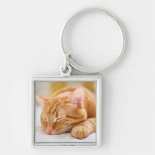 Porte-clés Animaux de bébés cutest | Chat de gingembre dorman (Devant)