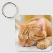 Porte-clés Animaux de bébés cutest | Chat de gingembre dorman (Recto)