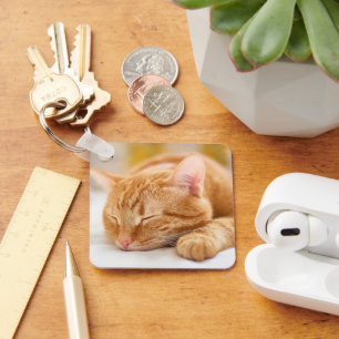 Porte-clés Animaux de bébés cutest Chat de gingembre dorman