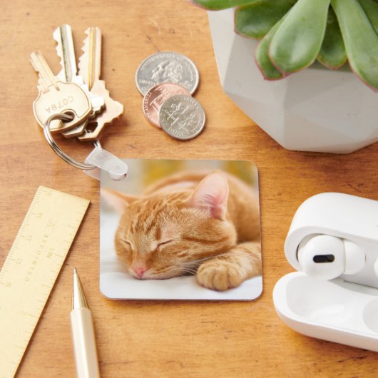 Porte-clés Animaux de bébés cutest | Chat de gingembre dorman (Bureau)
