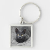 Porte-clés Animaux de bébés cutest | Chat gris (Devant)