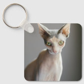 Porte-clés Animaux de bébés cutest | Chat Sphinx (Recto)