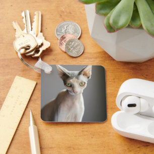 Porte-clés Animaux de bébés cutest Chat Sphinx