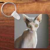 Porte-clés Animaux de bébés cutest | Chat Sphinx (Recto)