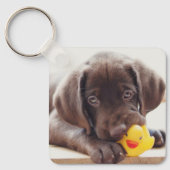 Porte-clés Animaux de bébés cutest | Chocolat Labrador Puppy (Recto)