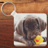 Porte-clés Animaux de bébés cutest | Chocolat Labrador Puppy (Recto)