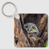 Porte-clés Animaux de bébés cutest | Chouette tachetée (Recto)