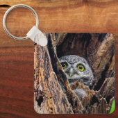 Porte-clés Animaux de bébés cutest | Chouette tachetée (Recto)