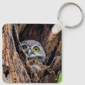 Porte-clés Animaux de bébés cutest | Chouette tachetée (Dos)
