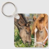 Porte-clés Animaux de bébés cutest | Colt à cheval (Recto)