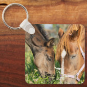 Porte-clés Animaux de bébés cutest | Colt à cheval (Recto)